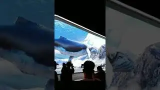 outdoor led display