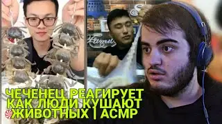 РЕАГИРУЮ КАК ЛЮДИ КУШАЮТ ЖИВОТНЫХ | АСМР