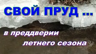 Свой пруд...в преддверии летнего сезона. Строим пруд в деревне часть 22.