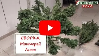 Ель 