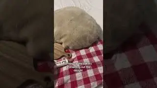 UNUSUAL RANDOM MEMES COMPILATION V56  #memes #shorts