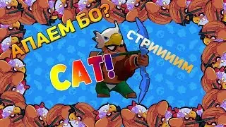 АПАЕМ БО В Brawl Stars/Стримчанский