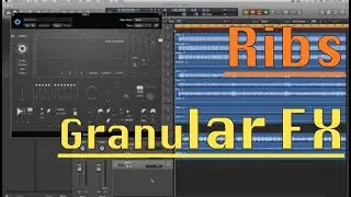Ribs Granular FX by Hvoya Audio