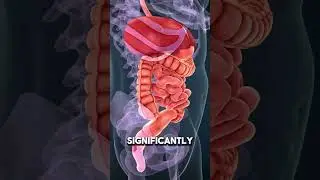 Best Time To Eat Certain Foods (Healthy Nutrition) #shorts
