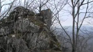 Чандолаз 2011