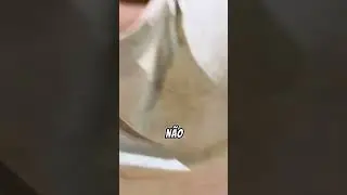 Que motoca louco 