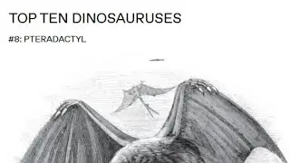 Top Ten Dinosauruses - Number 8 - Pterodactyl