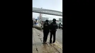 Полиция крышует мигрантов с незаконной торговлей? 🤔