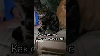 29 июля 2024 г.