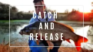 Catch and release a 12,5 kg canal carp