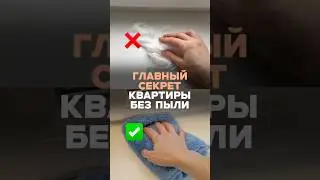 THE BEST WAY to combat dust at home