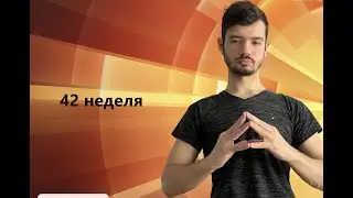 Обучение. 42 неделя