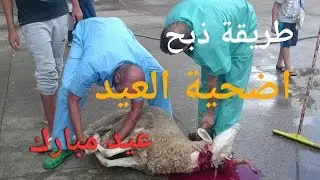 طريقة السهلة لذبح أضحية العيد