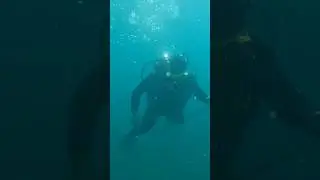 2 сентября 2024 г.