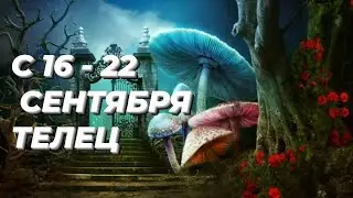 ❤️ТЕЛЕЦ. ♉️С 16 - 22 сентября 2024.♉️
