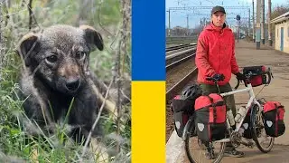 LEAVING UKRAINE 🇺🇦  My heartbreaking video about a stray puppy dog 😭