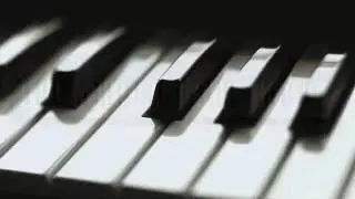 Typh - Bill Bailey (cover)