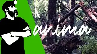 Baba nam kevalam kiirtan in ànima II (land art and mantra in the forest)