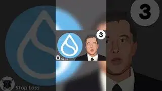 #sui #drop #bitcoin #trading #инвестиции Вся инструкция в тг