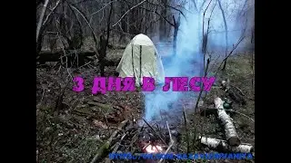 3 дня в лесу