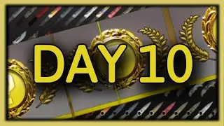 Opening 1 Case EVERY DAY until I Get a Knife #10