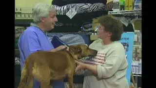 Candid Camera Classic: Cosmetic Vet
