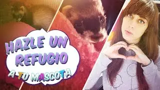 COMO HACER UNA CAMA / REFUGIO PARA TU MASCOTA | Manualidades faciles en casa ( hazlo tu mismo )