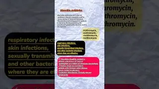 Macrolide Antibiotics Reviews