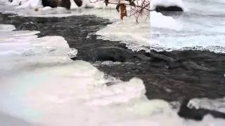 Winter Stream - Natural Sounds - 13.31 Minutes Relax