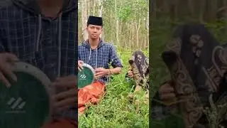 Drama darbuka