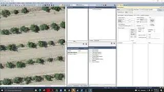 Conteo de plantas con software GIS