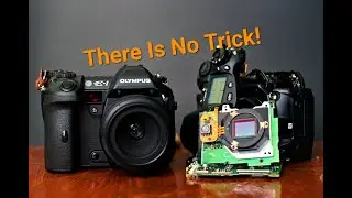My Trick to getting Cameras Cheap! This time I got the Olympus E-1