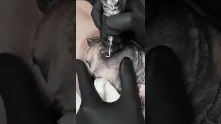 Realstic Dog Tattoo 