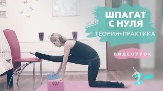 Как сеть на Шпагат с нуля 
