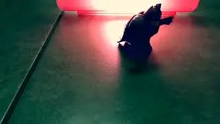 Bat Man Walking scene But Cringe
