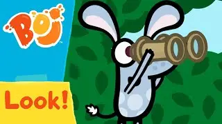 Boj - Fishing and Birdwatching! 🎣 🐦  | Full Episodes | Cartoons for Kids