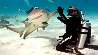 Fotos Tomadas En El Momento Justo