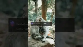 Which Animal Should Go Extinct? (r/AskReddit) #shorts #stories #reddit