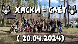 🐺 ХАСКИ - СЛЁТ🐺 ( 20.04.2024)