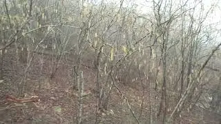 Повтор видео 22г. До войны оставалось 20 часов...