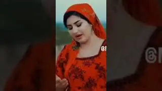 садбарги сафеда бин