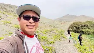 🇵🇪COSECHANDO PITAHAYA HaCienda campo de bashaco mi padre 🇵🇪