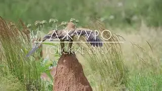 Анонс документального фильма  Джууро   Горские Евреи