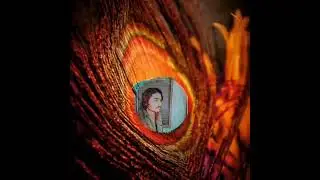 Peacock Feather Animation Background Video #editing #foryou #faryoupage #funny #comedy