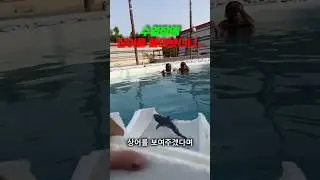 키우던 상어를 친구들이 놀고 있는 수영장에 풀어놓는데..ㅋㅋ