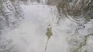 форель,Рыба, УЗВ,Пруд