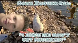 Gone Roguer #22: I Hope we Don't Get Skunked!