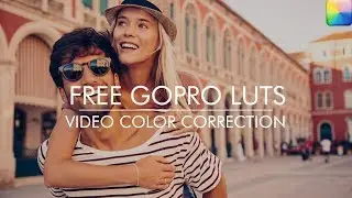 Free Gopro Luts