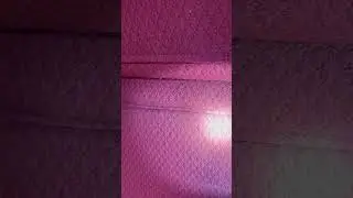 Hidden Bed Bug Infestation 