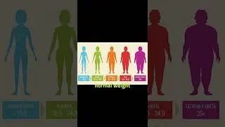 How to calculate BMI in python | #python